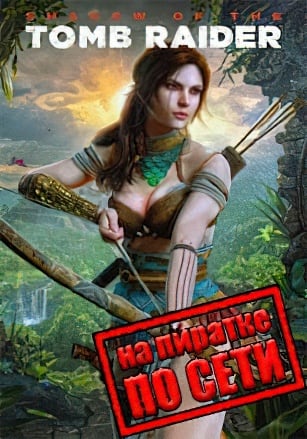 Версия Shadow of the Tomb Raider по сети